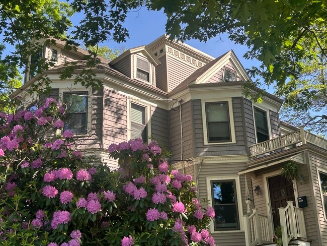 Building Photo - 215 Pearl St Unit Duplex Penthouse