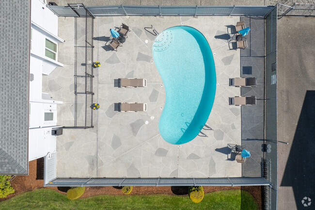 Campo Basso Apartment Homes - Pool