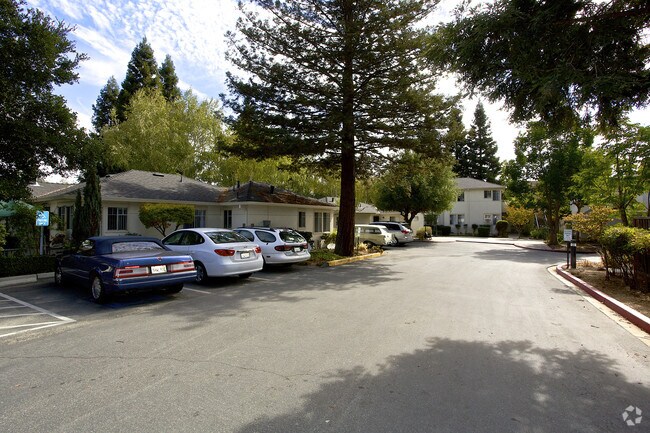 Photo - Sycamore Glen