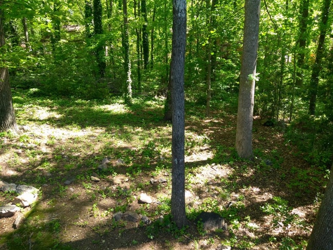 Photo - 5249 Martins Crossing Rd