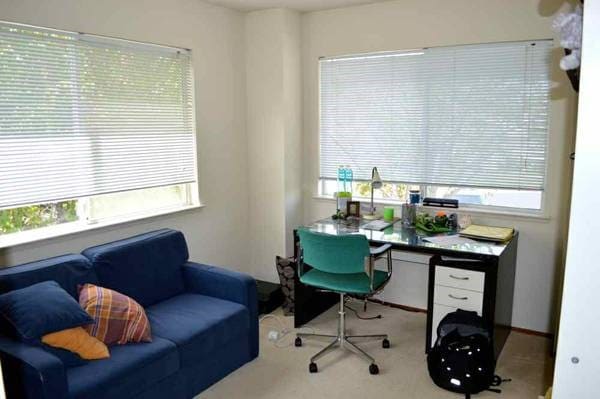 Photo - 11588 Raintree Spring Ct