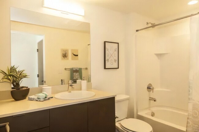 A single long mirror above the vanity opens the room up considerably.