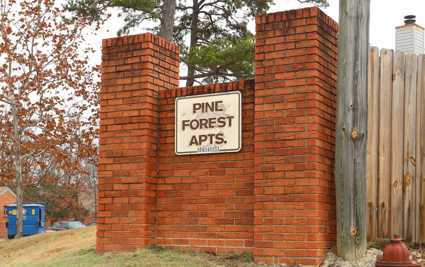 Pine Forest Apartments - Pine Forest Apartments