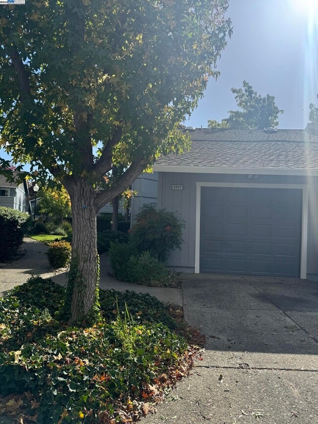 Photo - 4207 Sheldon Cir