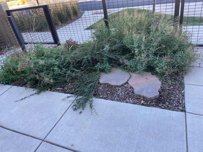 Photo - 225 Green Leaf Street