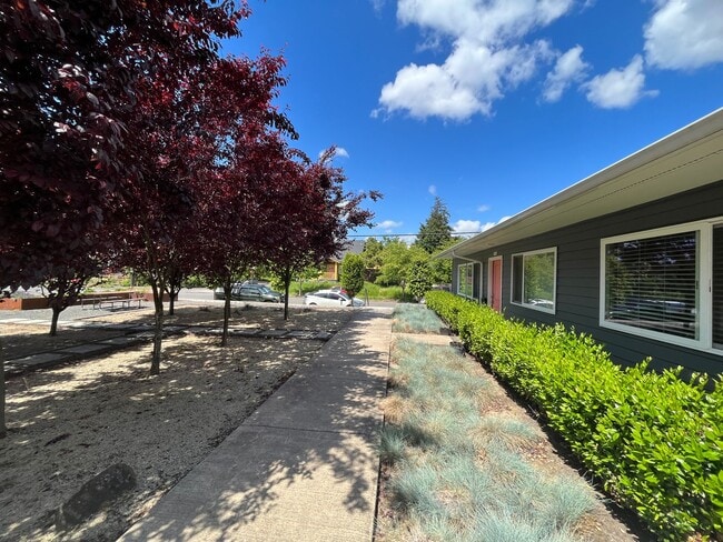 Large 3 Bedroom 2 Bathroom! In-Unit Washer... - Large 3 Bedroom 2 Bathroom! In-Unit Washer... Apartment