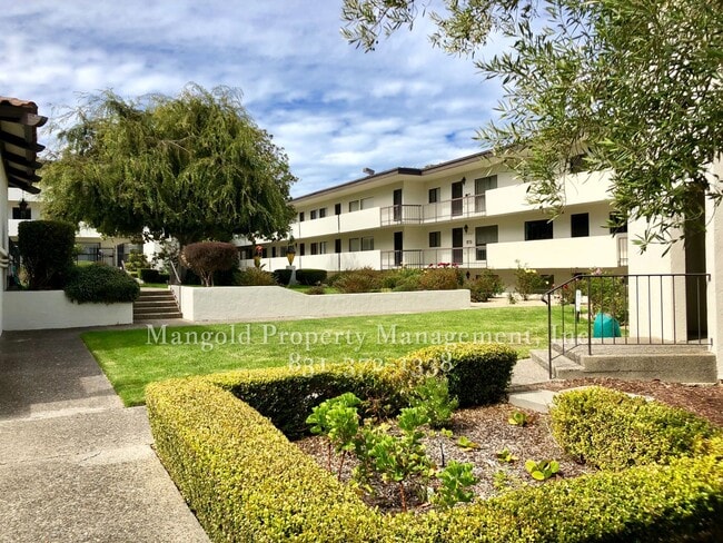 Spacious 1-Bed, 1-Bath Condo Located At Oc... - Spacious 1-Bed, 1-Bath Condo Located At Oc... Unit 524