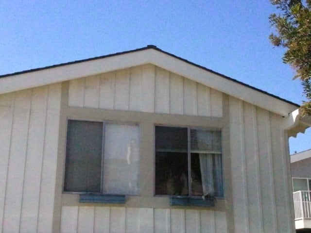 Photo - 33901 Copper Lantern St Unit 1/2