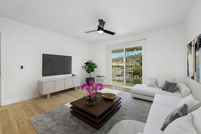 Lone Palm Terrace