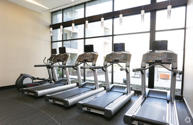 Fitness Center - The Perry