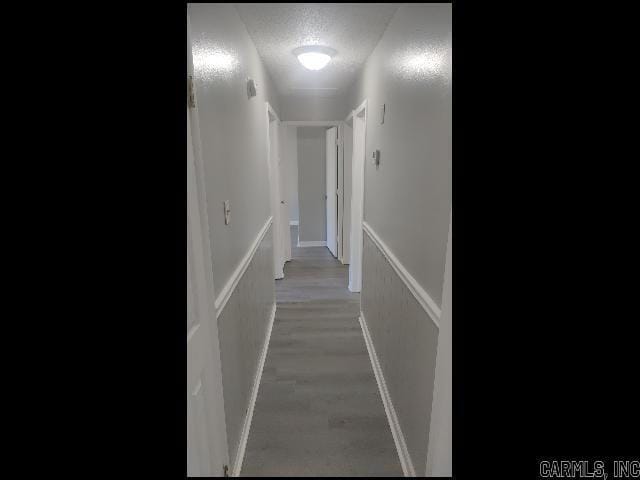 Photo - 203 Winchester Trail