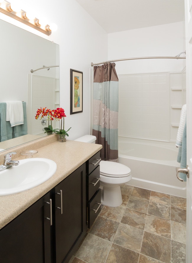 Talavera at the Junction Apartments & Townhomes
