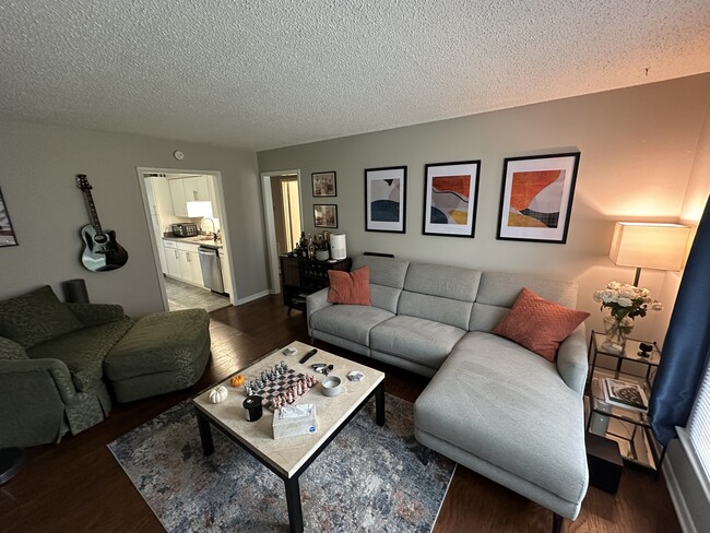 Living Room - 6515 Thunderbird Dr Townhome