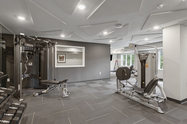 Gimnasio