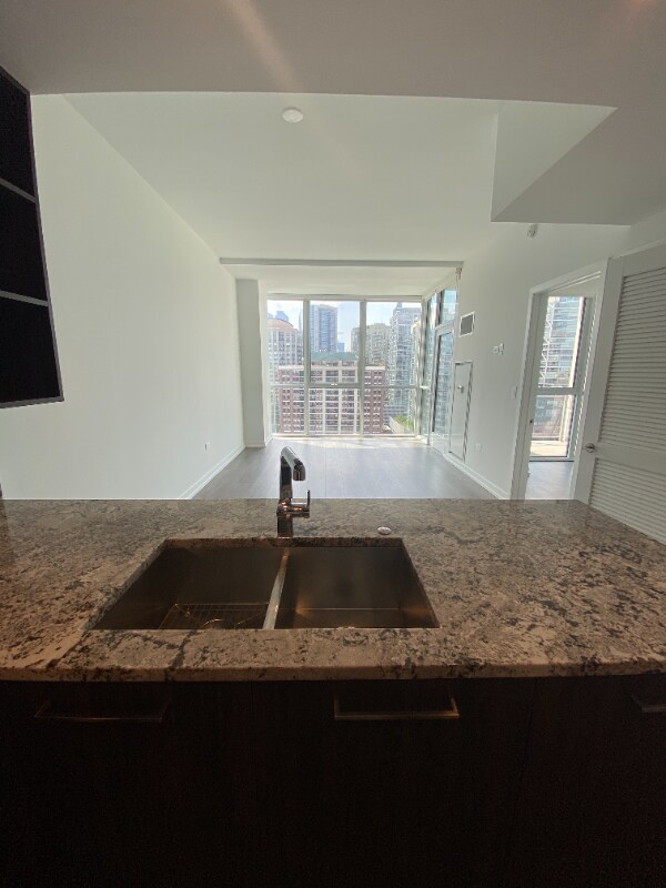 734 N Hudson Ave Condo Unit 901 Condo for Rent in Chicago, IL
