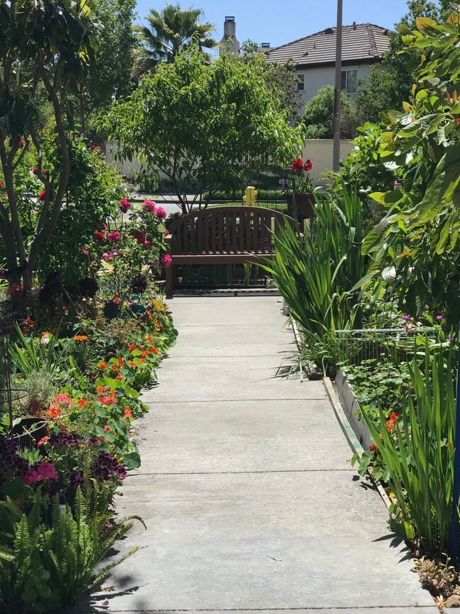 Villas Resident Garden Area