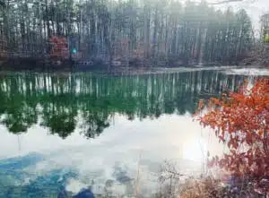 Photo - 724 Monmouth Rd