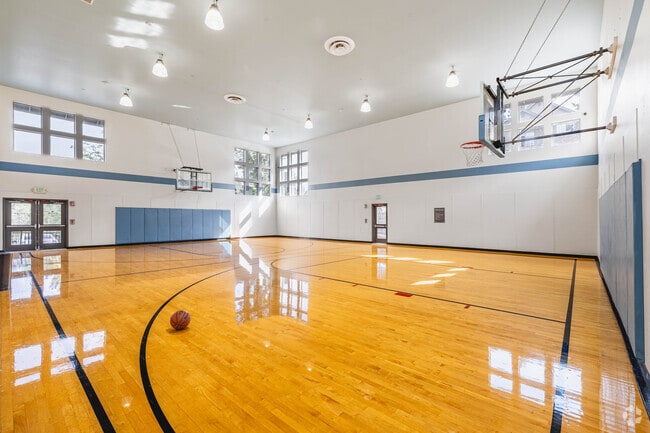Indoor Sports Court