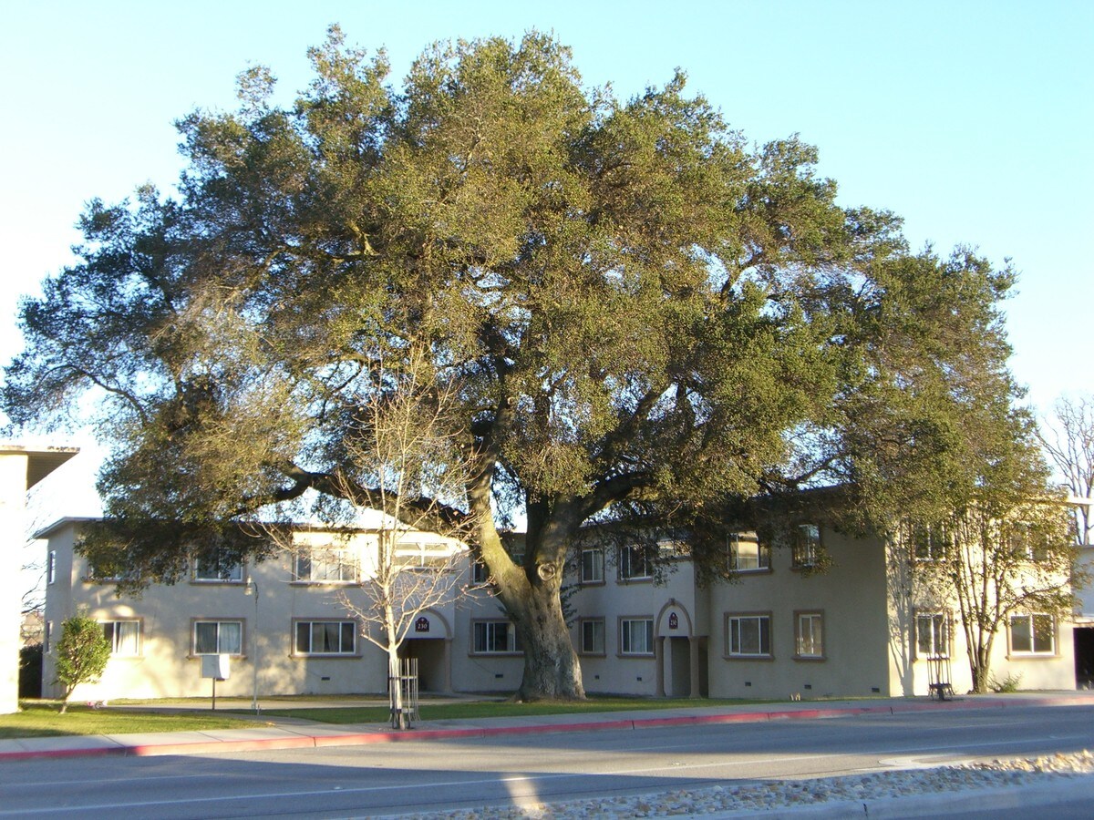 Vista Robles - Vista Robles Apartments