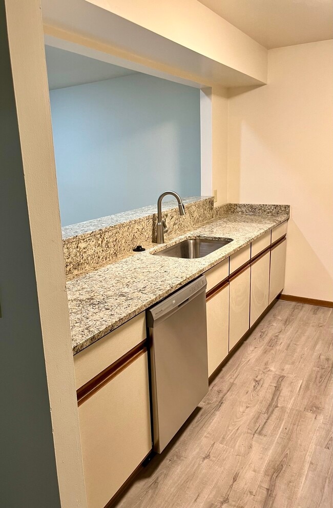 Kitchen sink/ Dishwasher/ Granite