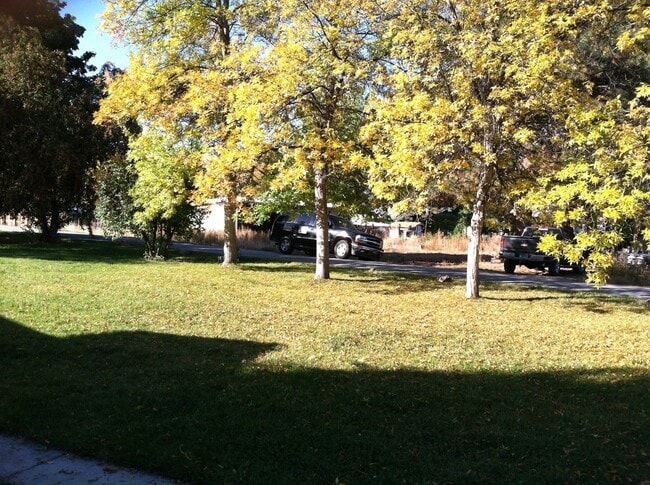 Photo - 2 Bed 1 Bath in Hamilton