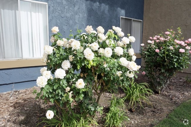 Photo - Mill Creek Apartments