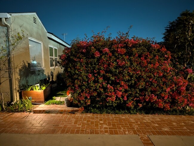 Photo - 5011 Stacy St Unit Main