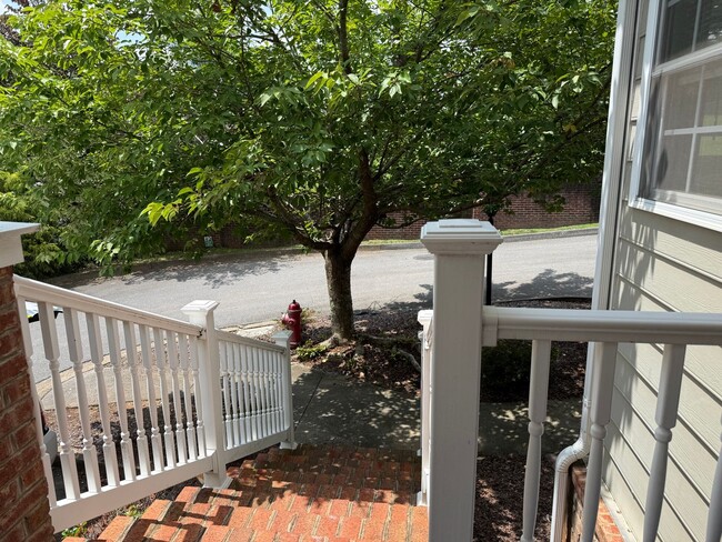 10 Charleston Ct
