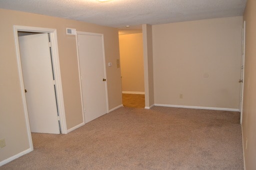 Living Room - Burke, JC Rental