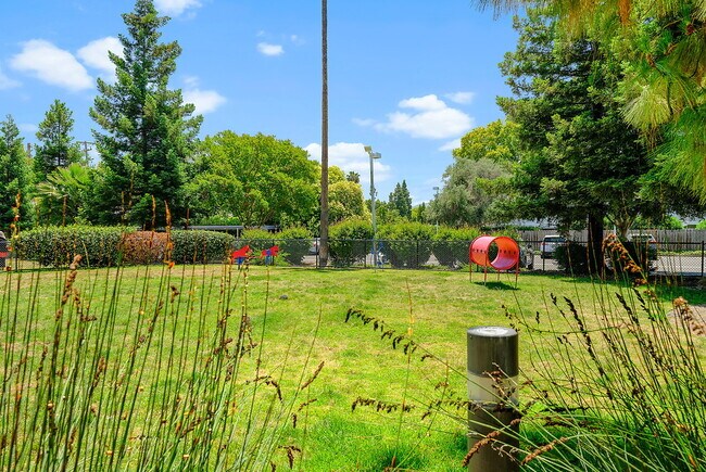 Photo - The Parc at Pruneyard