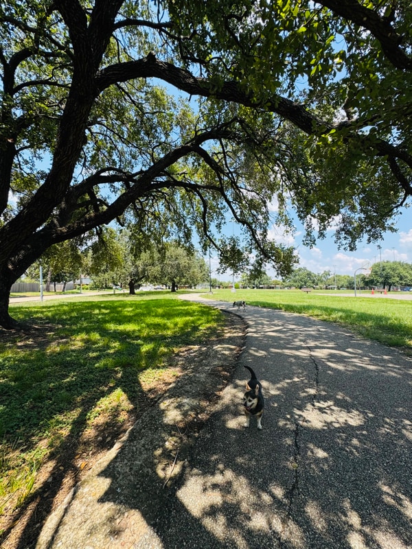 Photo - 4017 Osby Dr