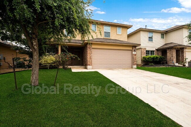 Photo - 469 Eastern Phoebe