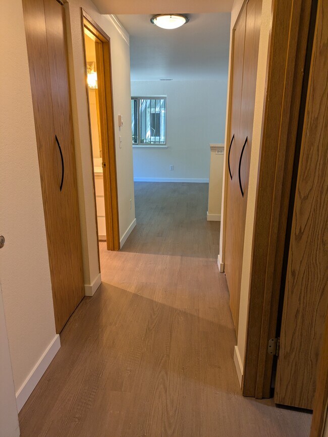Photo - 29 Etruria St
