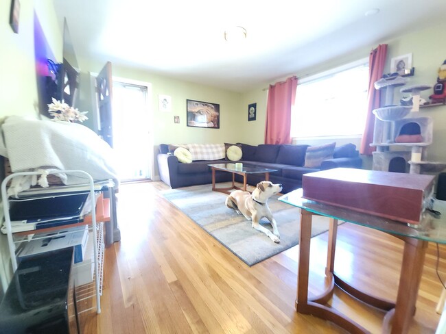 Beautiful 1 Bedroom apartment - Ashmont 9/1 - Beautiful 1 Bedroom apartment - Ashmont 9/1