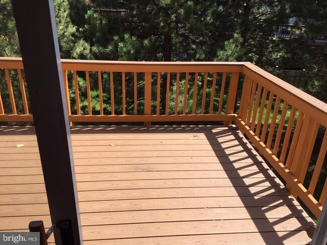 Photo - 2503 Clover Field Cir