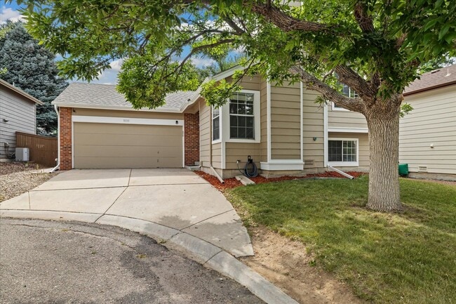 9333 Cattail Ct