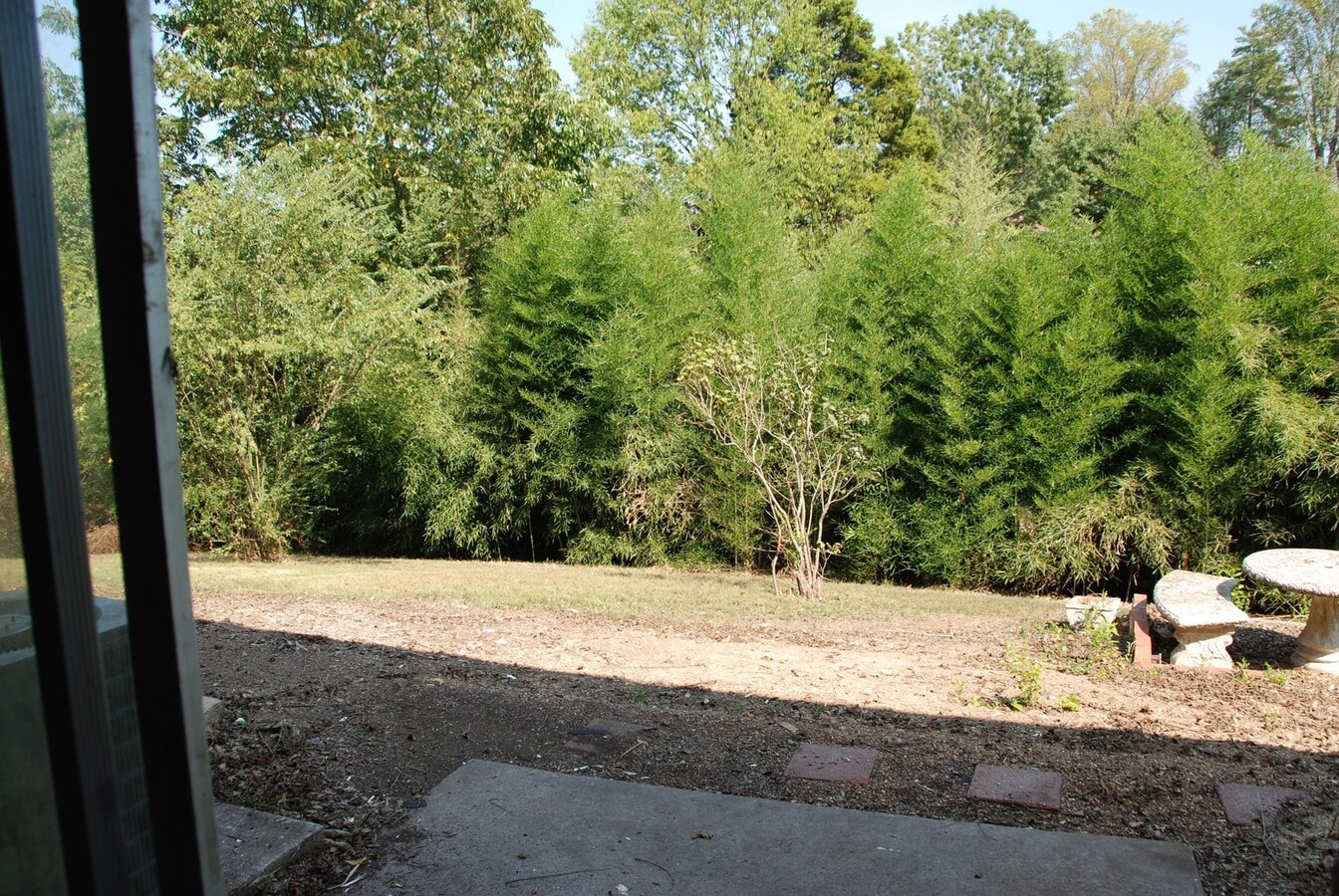 Photo - ***Coming soon!!***