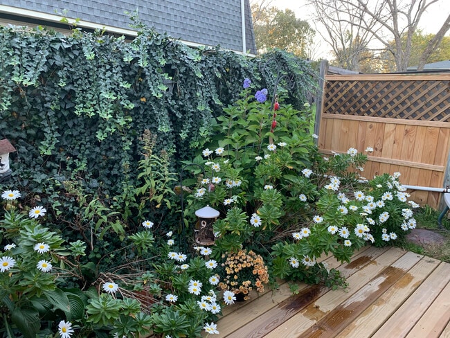 Photo - 170 E Hadley Rd Unit 40