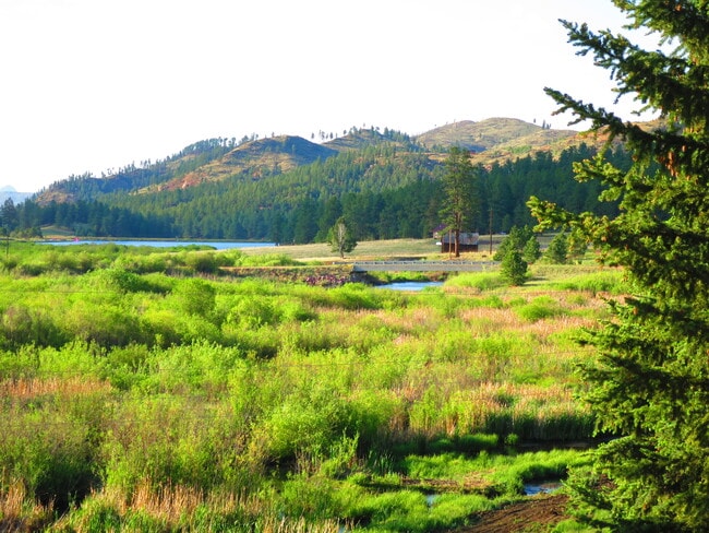 Photo - 15729 Pine Lake Dr