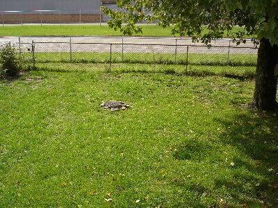 Photo - 541 Griffith Ave SW