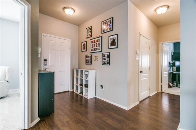Photo - 8633 Star Thistle Dr