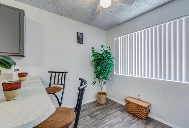 The Circa Apartments