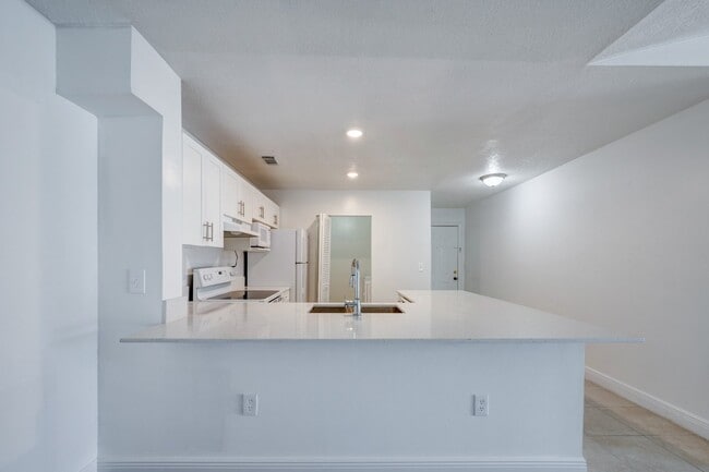 Photo - Sole at Sunrise