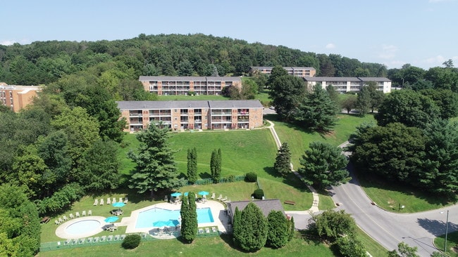 Aerial View of the Pool