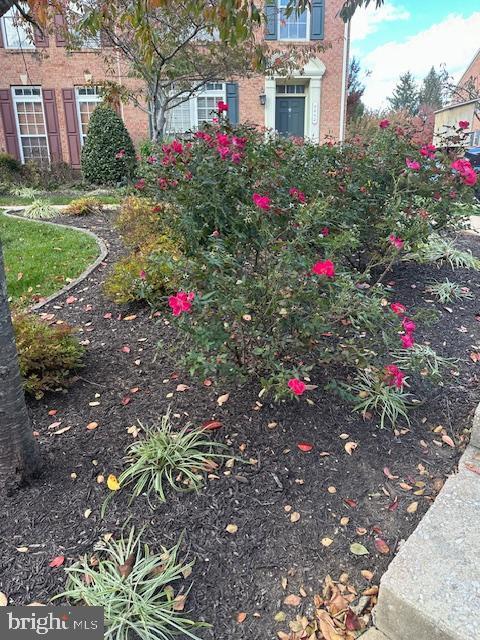 Photo - 5012 Cameo Terrace