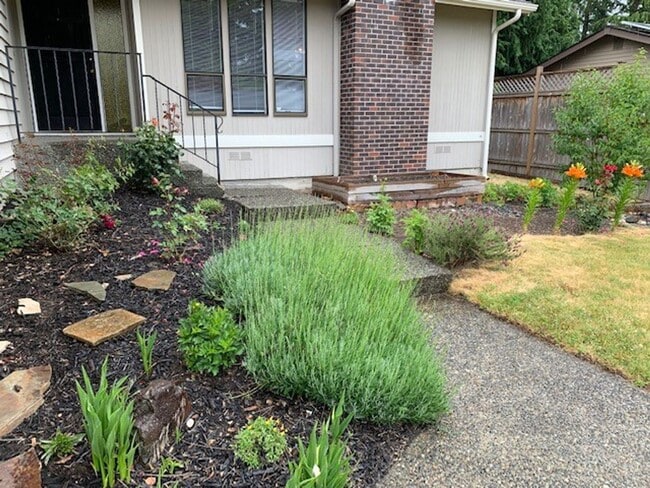 Photo - Kenmore House / RENT SPECIAL