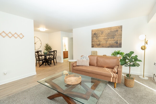 Renovated Living Room - Sycamore Woods Apartments