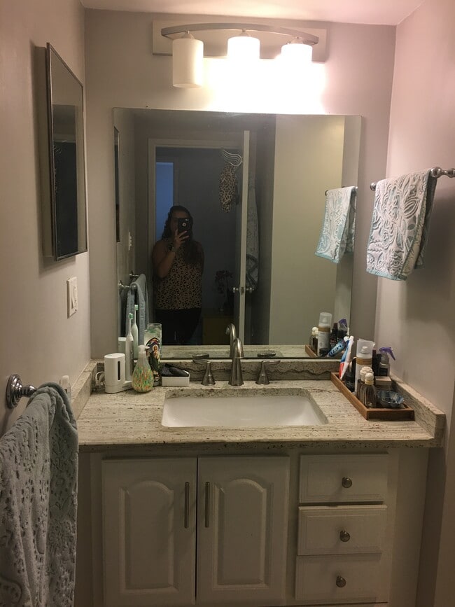 Bathroom - 2001 Hamilton St Unit 727