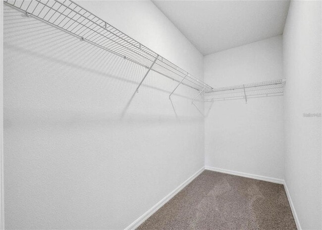 Photo - 343 Caryota Ct