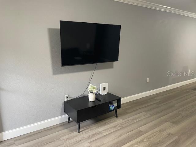 Photo - 5221 Bayshore Blvd Unit 1